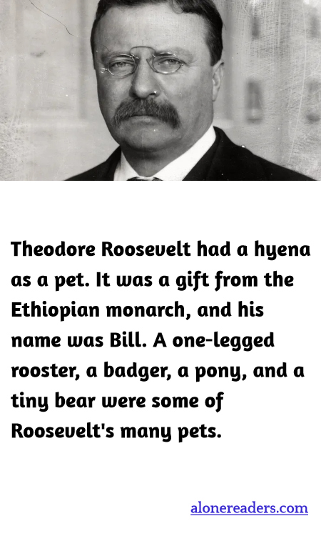 General Knowledge Learning Cards