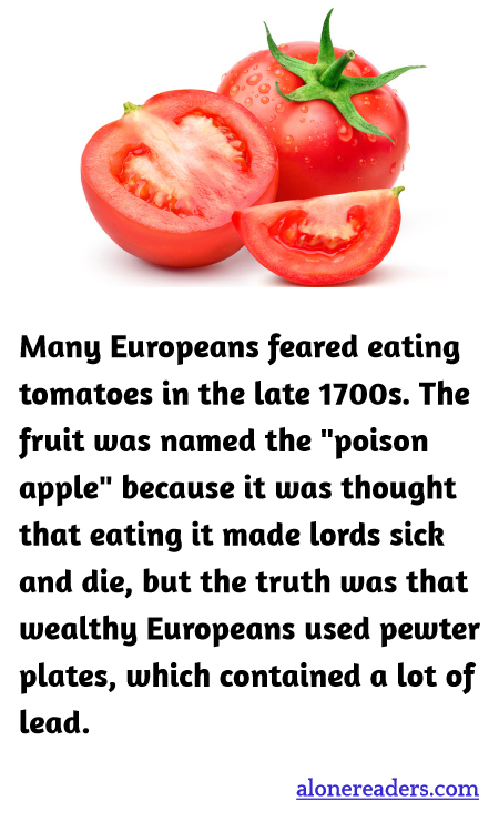 General Knowledge Learning Cards