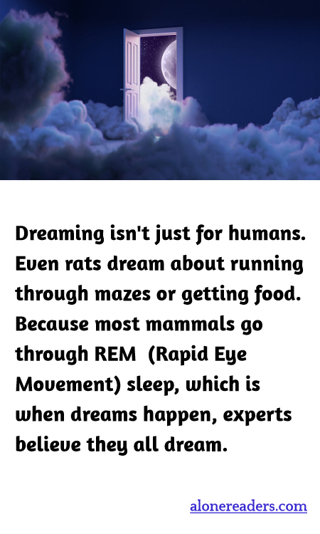 Dreaming isn't just for humans. Even rats dream about running through mazes or getting food. Because most mammals go through REM  (Rapid Eye Movement) sleep, which is when dreams happen, experts believe they all dream.