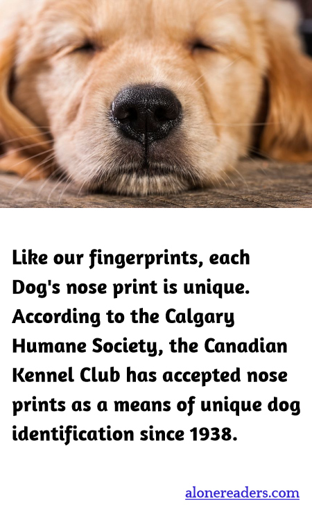 General Knowledge Learning Cards