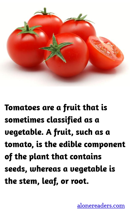 General Knowledge Learning Cards