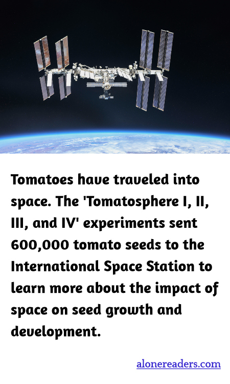 General Knowledge Learning Cards