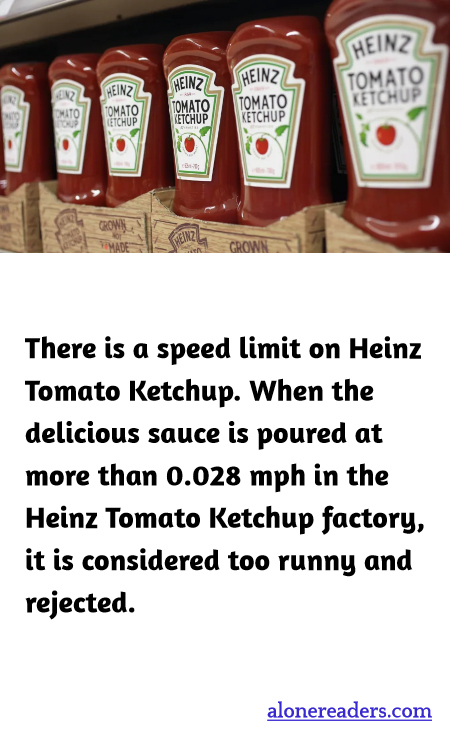 General Knowledge Learning Cards