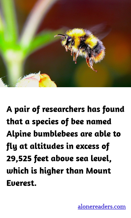 General Knowledge Learning Cards