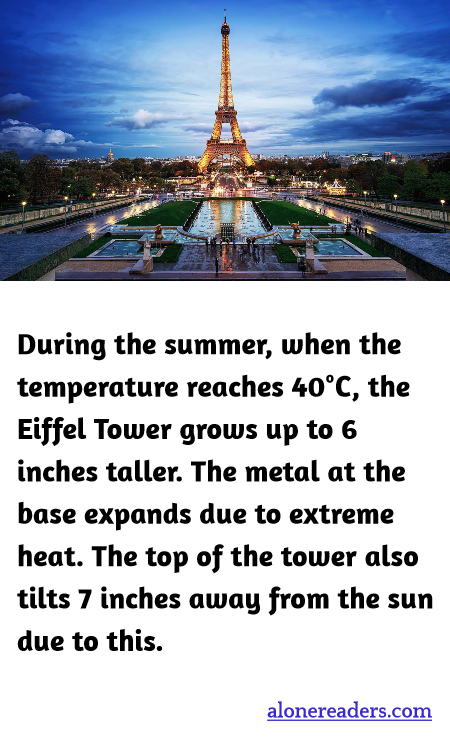 General Knowledge Learning Cards