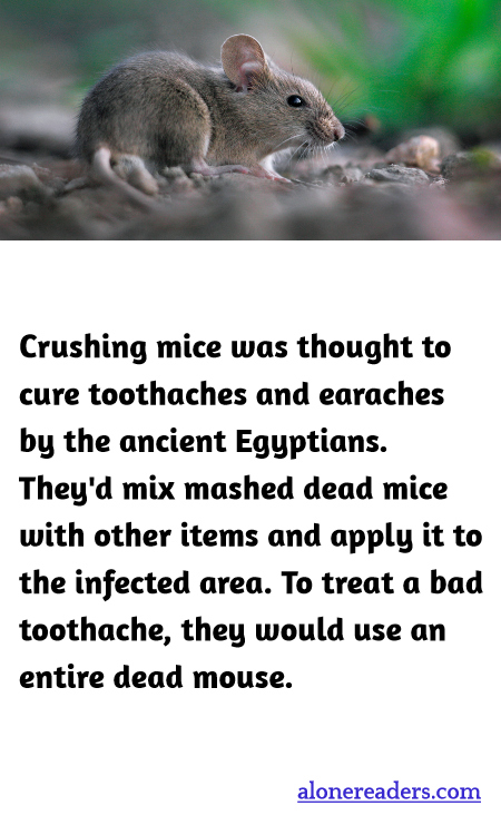 General Knowledge Learning Cards