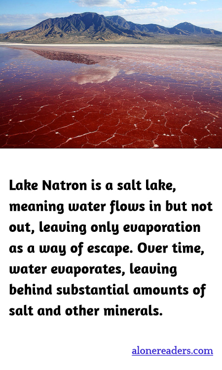 General Knowledge Learning Cards