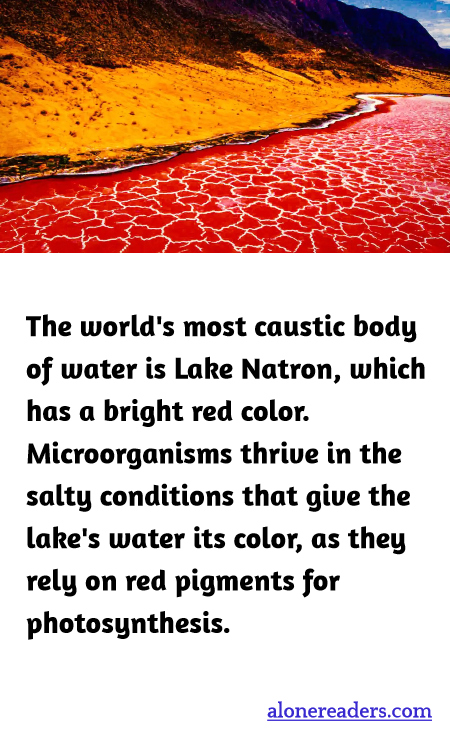 The world's most caustic body of water is Lake Natron, which has a bright red color. Microorganisms thrive in the salty conditions that give the lake's water its color, as they rely on red pigments for photosynthesis.