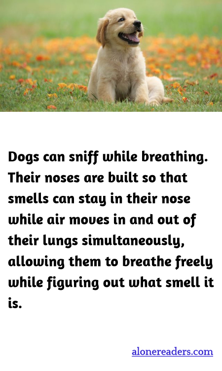 General Knowledge Learning Cards