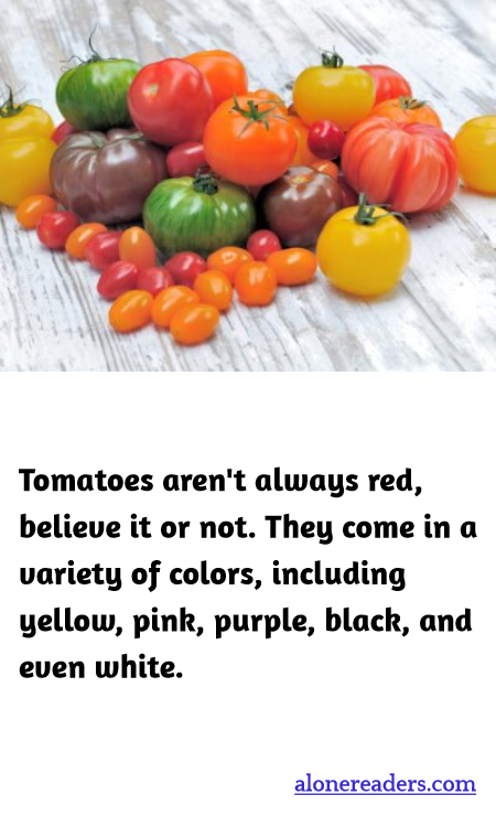 General Knowledge Learning Cards