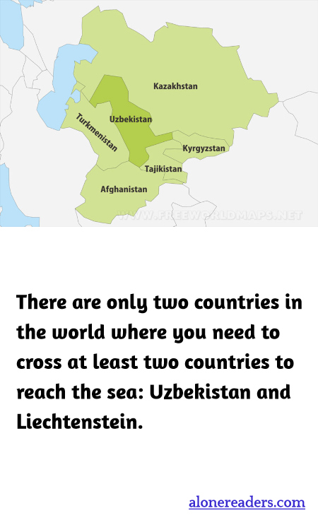 General Knowledge Learning Cards