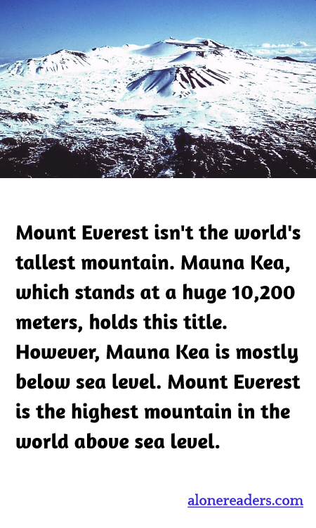 General Knowledge Learning Cards