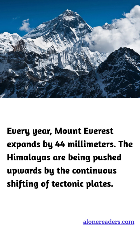 General Knowledge Learning Cards