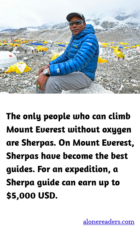 General Knowledge Learning Cards