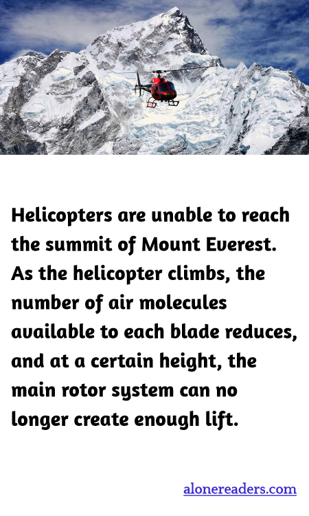 General Knowledge Learning Cards