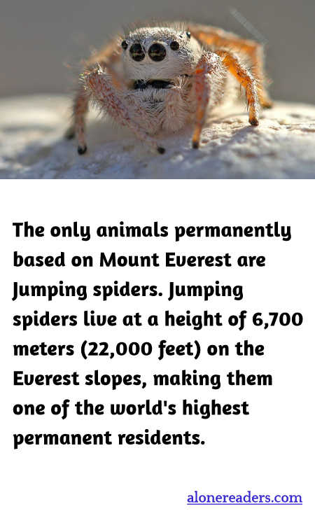 General Knowledge Learning Cards