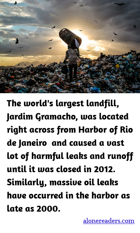 General Knowledge Learning Cards