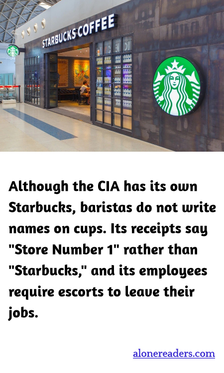 General Knowledge Learning Cards