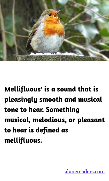 General Knowledge Learning Cards