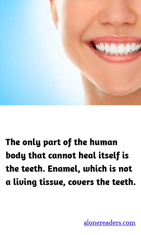 General Knowledge Learning Cards