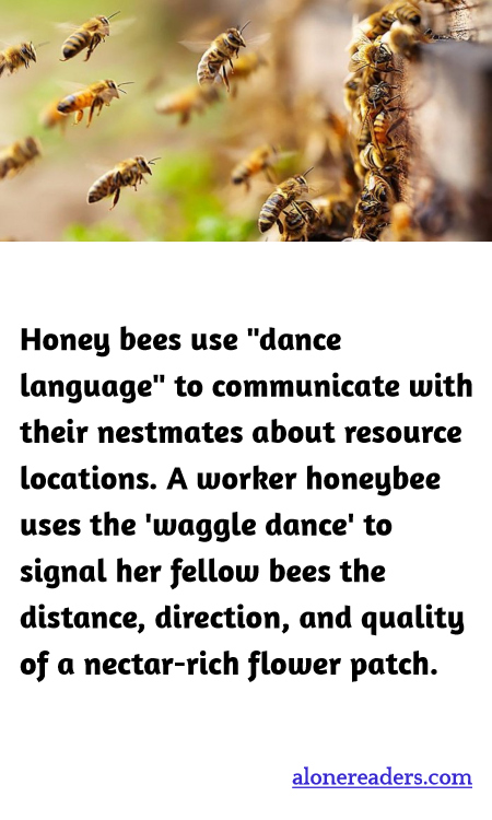 General Knowledge Learning Cards