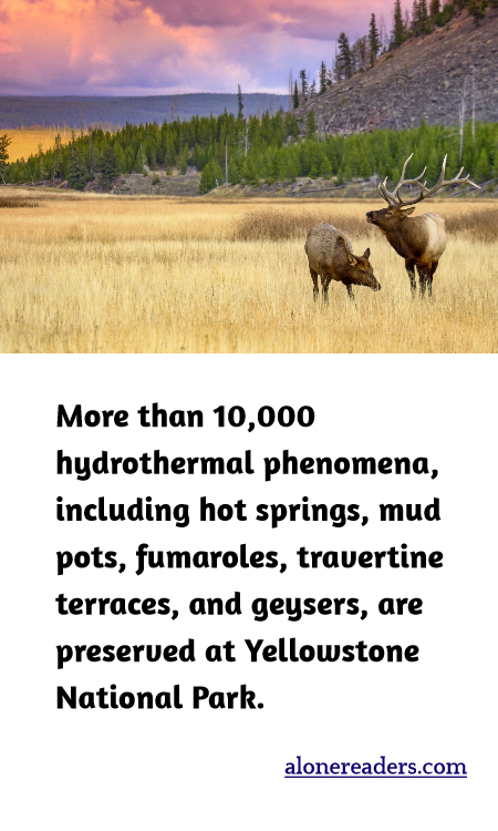 More than 10,000 hydrothermal phenomena, including hot springs, mud pots, fumaroles, travertine terraces, and geysers, are preserved at Yellowstone National Park.