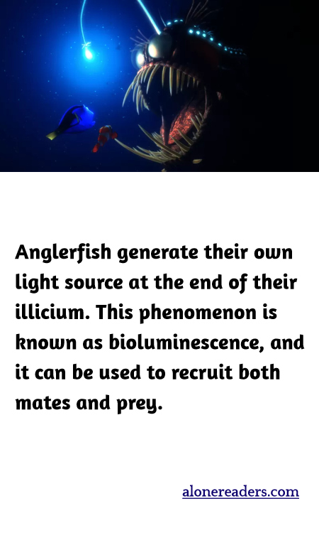 Anglerfish generate their own light source at the end of their illicium. This phenomenon is known as bioluminescence, and it can be used to recruit both mates and prey.