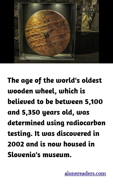 The age of the world's oldest wooden wheel, which is believed to be between 5,100 and 5,350 years old, was determined using radiocarbon testing. It was discovered in 2002 and is now housed in Slovenia's museum.