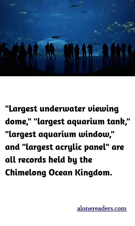 "Largest underwater viewing dome," "largest aquarium tank," "largest aquarium window," and "largest acrylic panel" are all records held by the Chimelong Ocean Kingdom.