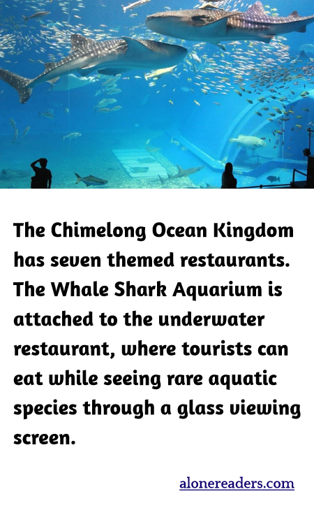 The Chimelong Ocean Kingdom has seven themed restaurants. The Whale Shark Aquarium is attached to the underwater restaurant, where tourists can eat while seeing rare aquatic species through a glass viewing screen.