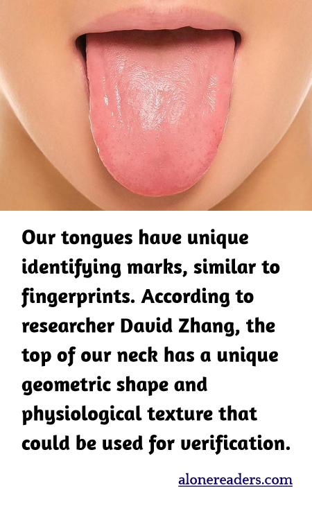 Our tongues have unique identifying marks, similar to fingerprints. According to researcher David Zhang, the top of our neck has a unique geometric shape and physiological texture that could be used for verification.