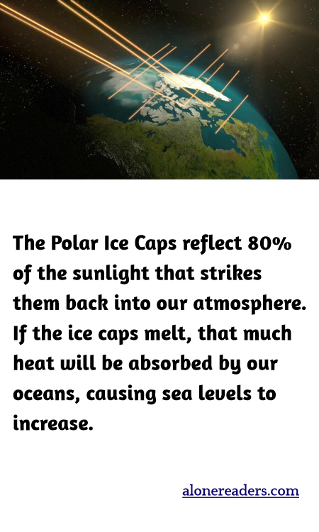 The Polar Ice Caps reflect 80% of the sunlight that strikes them back into our atmosphere. If the ice caps melt, that much heat will be absorbed by our oceans, causing sea levels to increase.