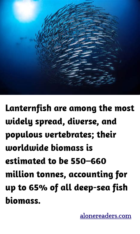 Lanternfish are among the most widely spread, diverse, and populous vertebrates; their worldwide biomass is estimated to be 550–660 million tonnes, accounting for up to 65% of all deep-sea fish biomass.