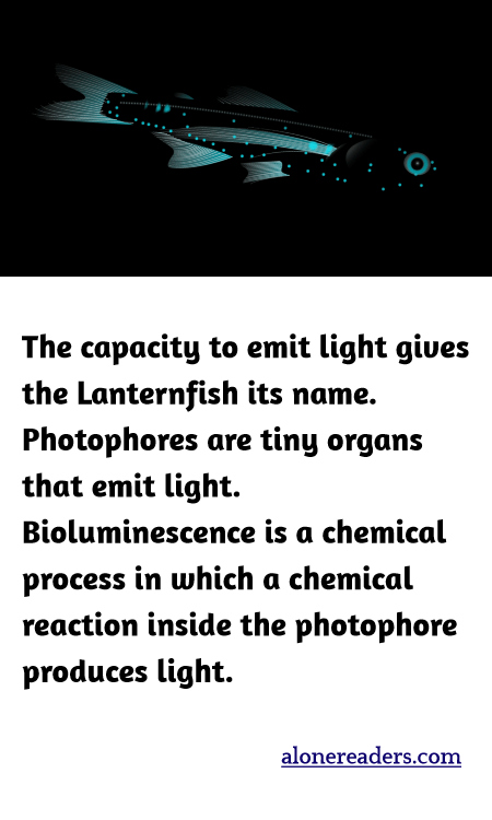 The capacity to emit light gives the Lanternfish its name. Photophores are tiny organs that emit light. Bioluminescence is a chemical process in which a chemical reaction inside the photophore produces light.
