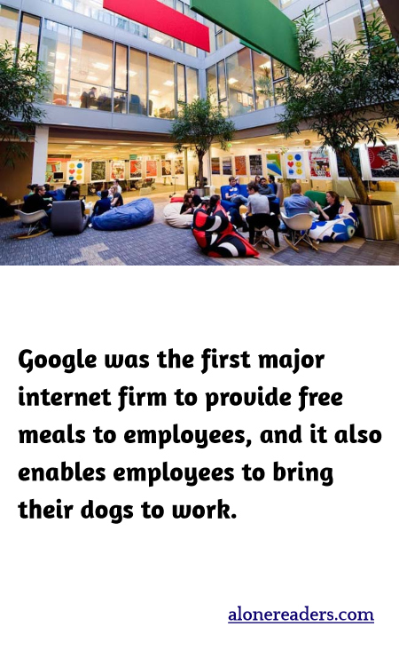 Google was the first major internet firm to provide free meals to employees, and it also enables employees to bring their dogs to work.