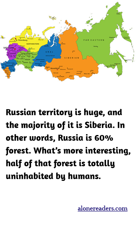 Russian territory is huge, and the majority of it is Siberia. In other words, Russia is 60% forest. What’s more interesting, half of that forest is totally uninhabited by humans.