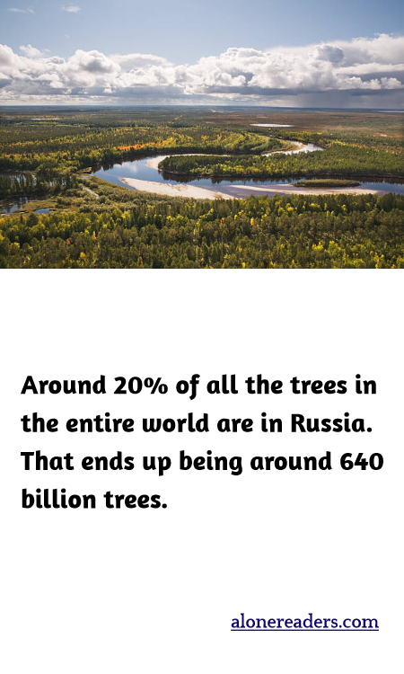 Around 20% of all the trees in the entire world are in Russia. That ends up being around 640 billion trees.