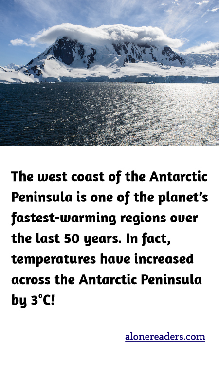 The west coast of the Antarctic Peninsula is one of the planet’s fastest-warming regions over the last 50 years. In fact, temperatures have increased across the Antarctic Peninsula by 3°C!