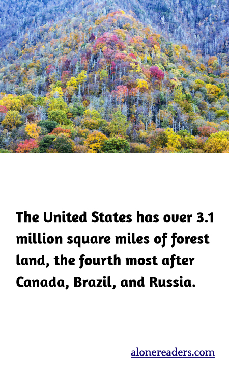 The United States has over 3.1 million square miles of forest land, the fourth most after Canada, Brazil, and Russia.