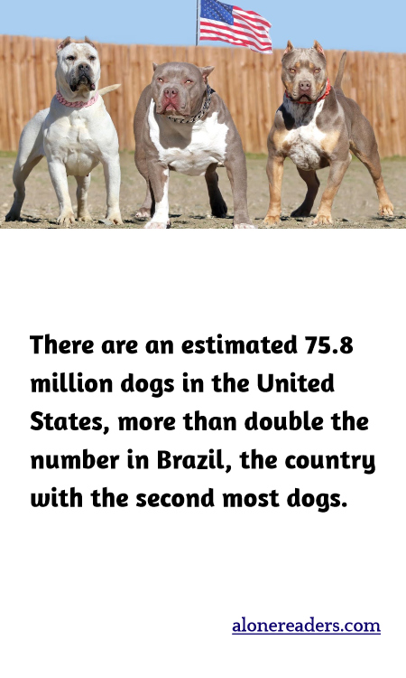 There are an estimated 75.8 million dogs in the United States, more than double the number in Brazil, the country with the second most dogs.