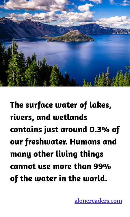 The surface water of lakes, rivers, and wetlands contains just around 0.3% of our freshwater. Humans and many other living things cannot use more than 99% of the water in the world.