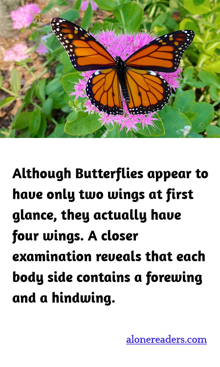 General Knowledge Learning Cards