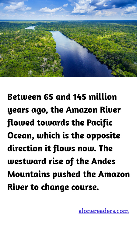 General Knowledge Learning Cards