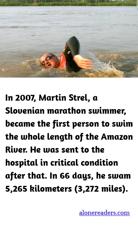 General Knowledge Learning Cards