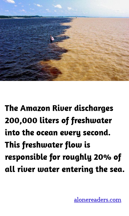 General Knowledge Learning Cards