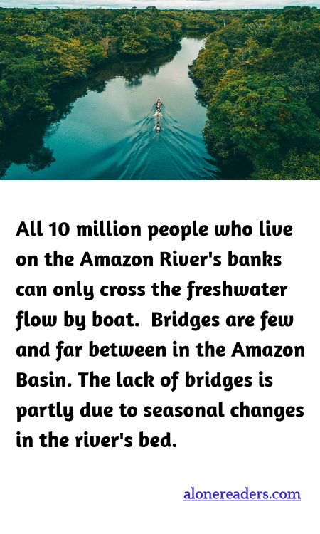 General Knowledge Learning Cards