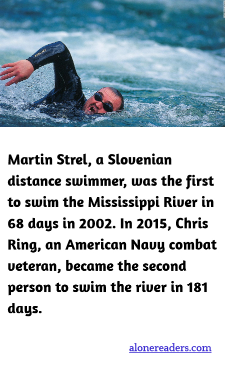 General Knowledge Learning Cards