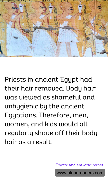 General Knowledge Learning Cards