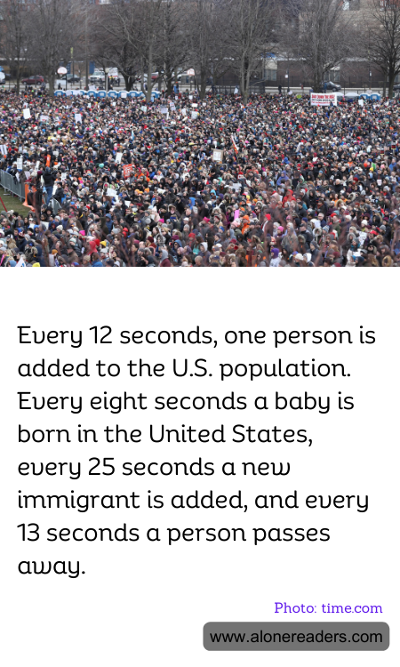 General Knowledge Learning Cards