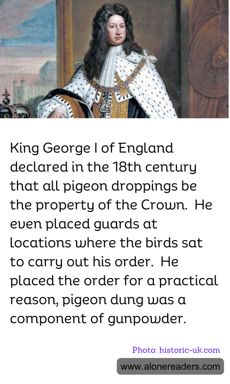 General Knowledge Learning Cards